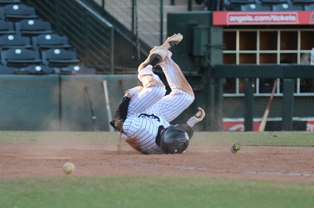 Seals_2019-10-06 (776).JPG - (c)2010 DeVetter